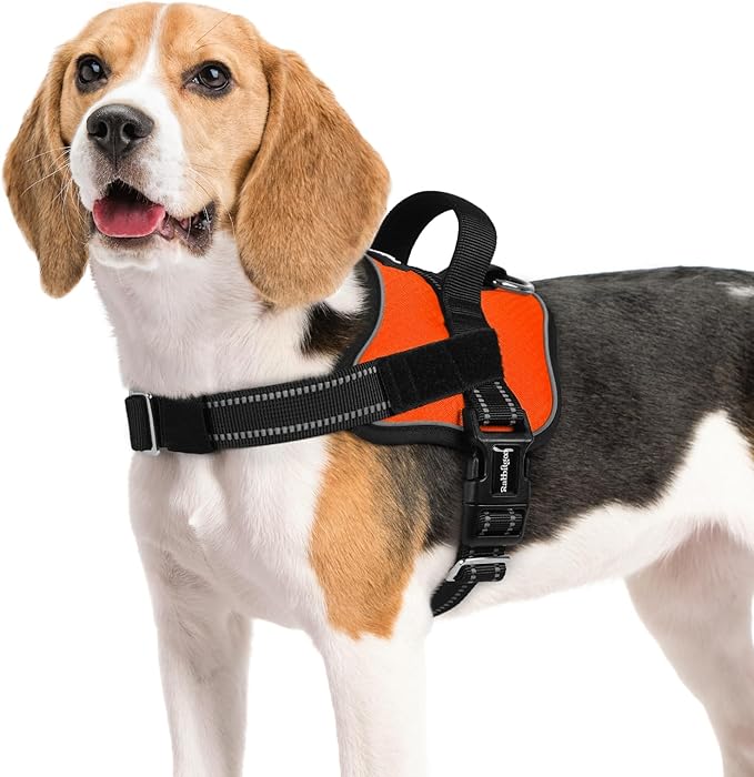 rabbitgoo Dog Harness Medium Sized, Easy On Pet Vest with One Buckle, No Pull Adjustable Service Harness with D-Ring & Handle, Reflective for Safety Walking, Training, Orange, M-Mewly Pet
