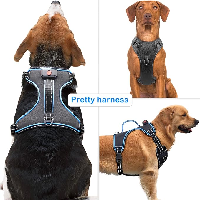 Light Up Dog Harness, No Pull LED Dog Harness with Handle, Rechargeable Lighted Safety Vest for Small Medium Large Dogs, Adjustable Soft Dog Lights for Night Walking-Mewly Pet