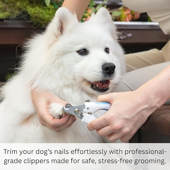 AIXINPET Dog & Cat Nail Clippers and Trimmers - with Free Nail File, Protective Guard to Avoid Over Cutting, Extra Sharp Blade - Suitable for Small to Large Dogs & Cats, Birds and Rabbits (Large)-Mewly Pet