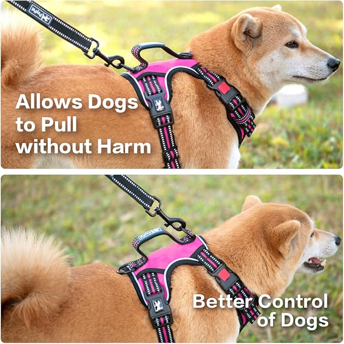 PoyPet No Pull Dog Harness, No Choke Front Clip Reflective Dog Vest with Soft Padded Vertical Handle, 3 Leash Attachments for Small Medium Large Dogs (Pink,M)-Mewly Pet