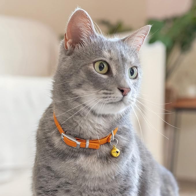 CollarDirect Leather Cat Collar with Bell - Kitten Collar, Small and Big Cat Strap for Boy Cats, Girl Cats with Safety Elastic Strap (Neck Fit 8"-11", Orange)-Mewly Pet