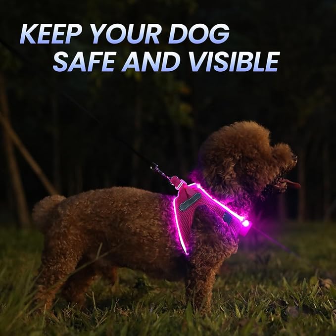 Pceotllar LED Dog Harness - Rechargeable, Flashing Light, No Pull, Reflective - Medium, Pink-Mewly Pet
