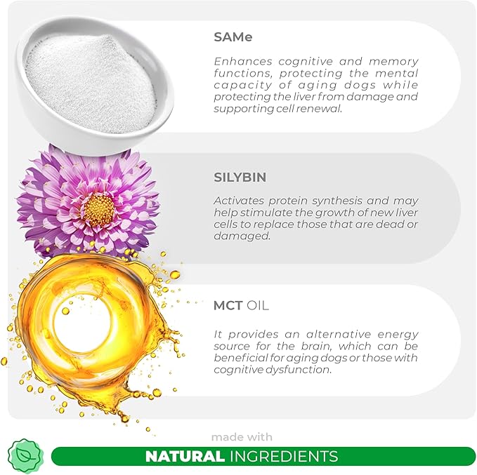 Same and Silybin for Dogs - S-Adenosyl-L-Methionine - 90 Soft Chews - Liver Supplements - Brain Health, Promotes Cognitive and Liver Support-Mewly Pet