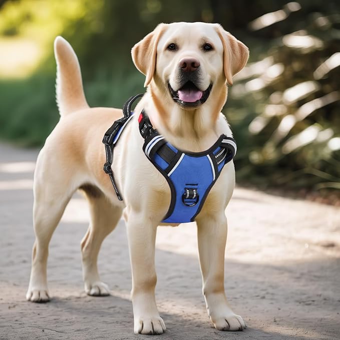 Timos Dog Harness for Large Dogs, No Pull Service Vest with Reflective Strips and Control Handle,No Choke Dog Harness with 2 Metal Rings for Easy Walking,Outdoor Training,Blue, XL-Mewly Pet