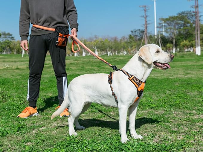 TRUE LOVE Truelove Adjustable No-Pull Dog Harness Reflective Pup Vest Harnesses Comfortable Control Brilliant Colors TLH5651(Orange,M)-Mewly Pet