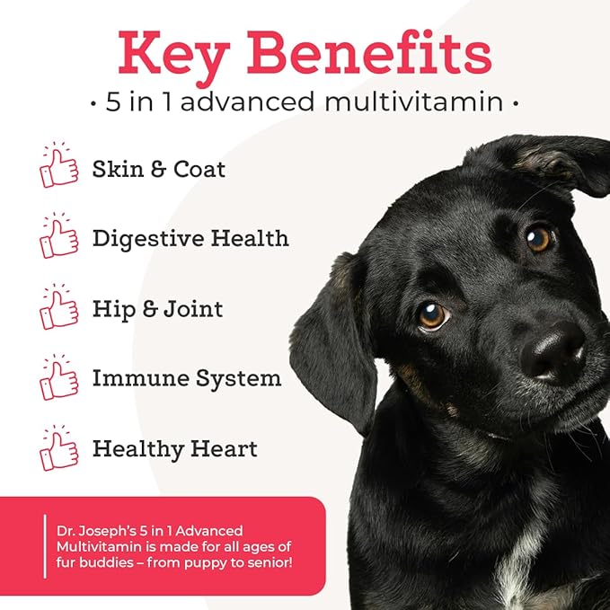 Dr. Joseph's VetPro Complete Multivitamin Dog Supplement, 120 Count (Large Dog 60 Day Supply), 5in1 Chew with Vitamins, Enzymes & Nutrients, Hip & Joint Health, Immune System & Allergy Support-Mewly Pet