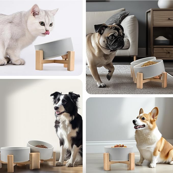 SPUNKYJUNKY 15° Slanted Ceramic Dog and Cat Bowl with Wooden Stand, Tilted Bulldog Food and Water Bowl No Slip Non-Spill for Cats Medium Dogs Big Face Pets 13.5 OZ (1.7 Cups, Grey × 2)-Mewly Pet