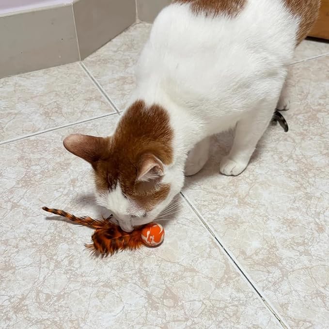 Cat Toy Balls, 5 PCS Colorful Feather Bouncy Balls for Cats No Noise Interactive Kitten Toys Cat Exercise Ball, Safe for Your Kitty (C)-Mewly Pet