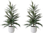 CG Hunter Holiday Collection, Set-of-2 Faux Cedar Trees, Premium Artificial Indoor & Outdoor Cedar Tree Stands 24" Tall in Creme Pot–Perfect Christmas Decoration