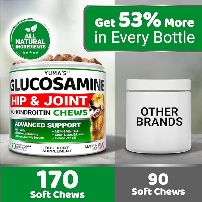 YUMA'S (2 Pack) Glucosamine for Dogs - Hip and Joint Supplement for Dogs - Glucosamine Chondroitin Chews - Joint Pain Relief Supplement with MSM - Advanced Health - Mobility Support - Made in USA-Mewly Pet