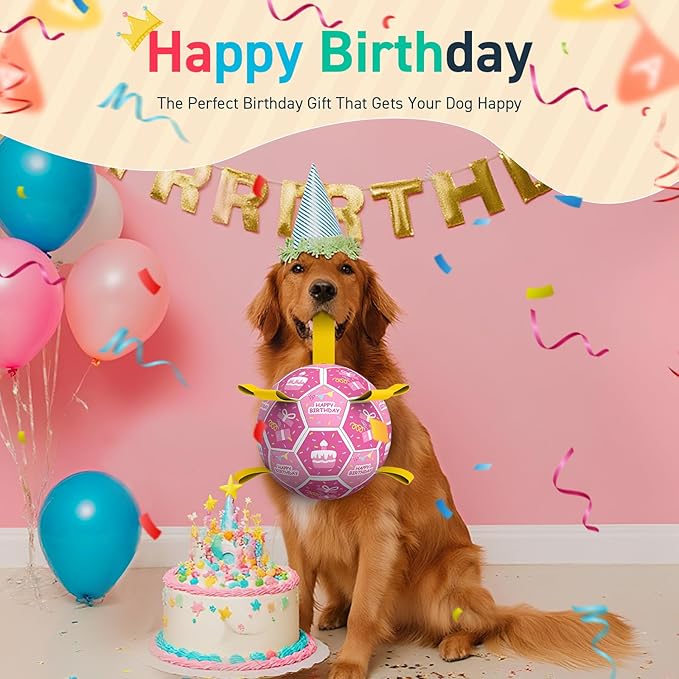 QDAN Dog Birthday Toys, Squeaky Dogs Toys, Dog Soccer Ball with Straps, Puppy Gifts, Herding Balls with Bell Inside, Water Toy, Durable Ropes Ball for Medium Large Dogs (8 inch)-Mewly Pet
