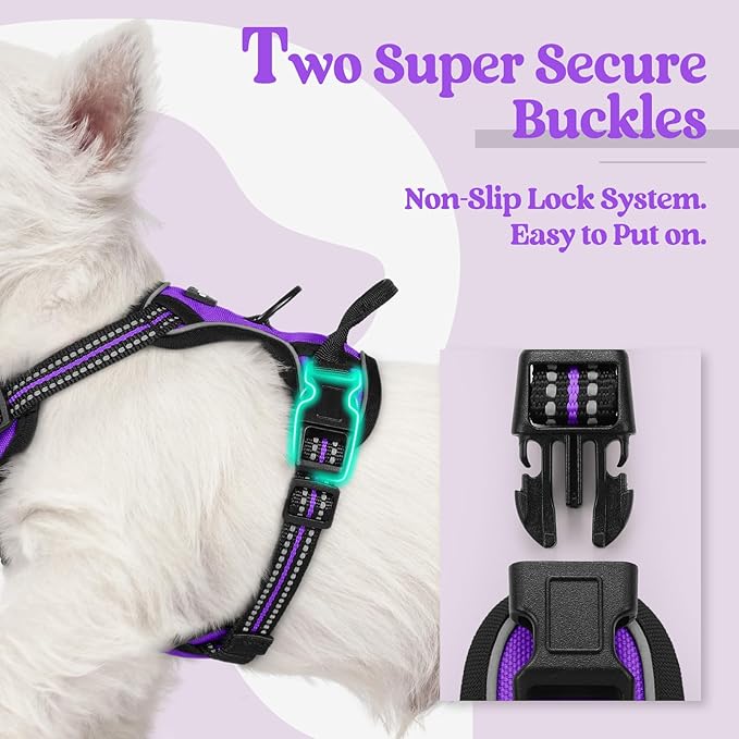 rabbitgoo Dog Harness No Pull with 2 Leash Clips, Adjustable Soft Padded, Reflective Oxford No Choke Pet Vest with Easy Control Handle for Puppy, Purple,XS-Mewly Pet