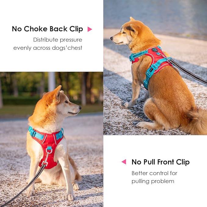 PHOEPET No Pull Dog Harness, Unique Colors Reflective Adjustable Dog Vest, with Soft Training Handle Metal Clips for Small Medium Large Dogs (Red Base & Teal Straps,L)-Mewly Pet