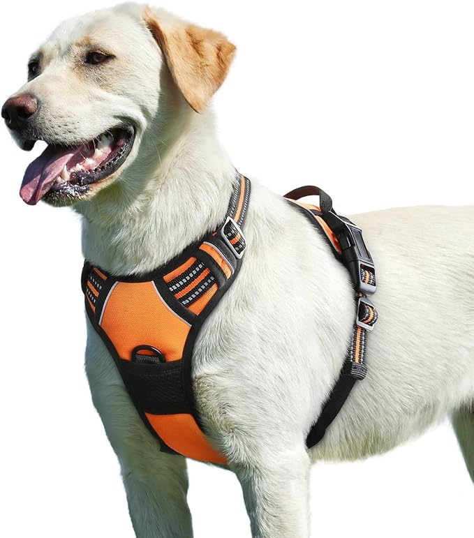 Eagloo Dog Harness for Large Dogs, No Pull Service Vest with Reflective Strips and Control Handle, Adjustable and Comfortable for Walking, No Choke Pet Harness with 2 Metal Rings, Orange, L-Mewly Pet