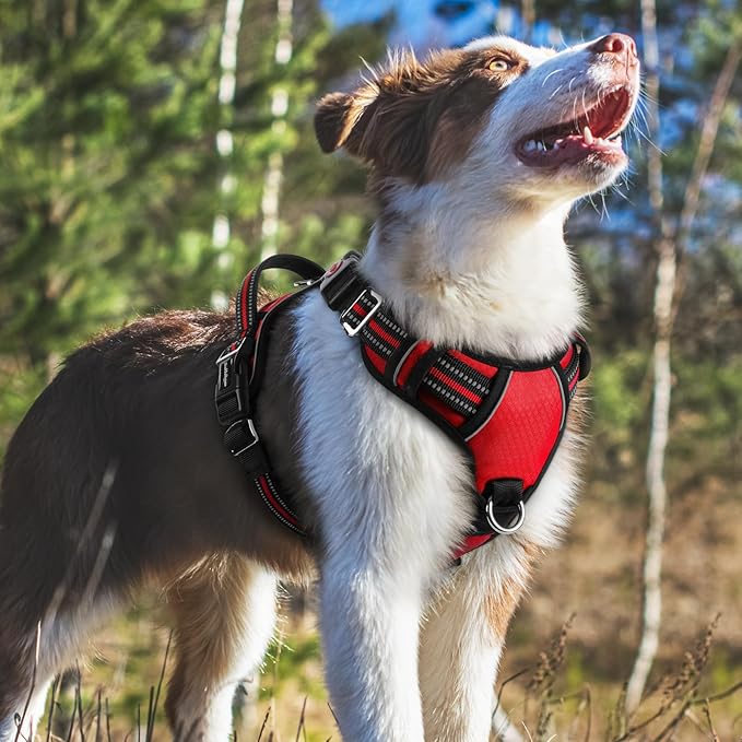 rabbitgoo Dog Harness Medium Sized, No Pull Dog Vest with 3 Buckles, Adjustable Soft Padded Pet Harness with Easy Control Handle and Reflective Strips, Red, M-Mewly Pet