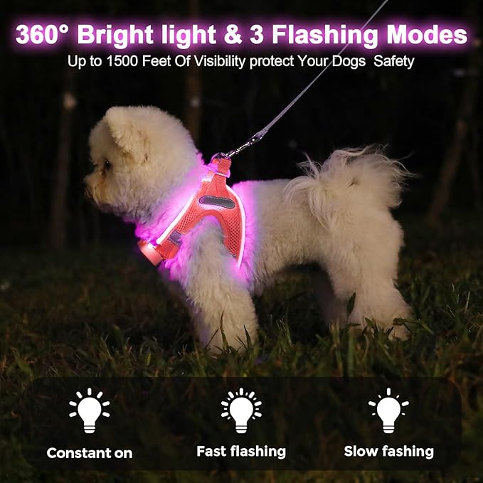 Light Up Dog Harness,Rechargeable LED Dog Harness for Small Medium Large Dogs,Reflective Lighted Safety Vest for Night Walking & Camping,Lightweight & Adjustable,Fluorescent Pink,S-Mewly Pet