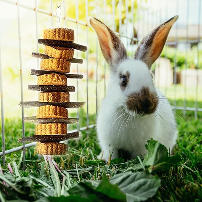 kathson Natural Small Animal Chew Toys for Teeth,4 PCS Rabbit Hanging Chewing Treats with Natural Organic Apple Stick Timothy Grass Carrot Cake for Hamsters Squirrel Guinea Pig Rabbits-Mewly Pet