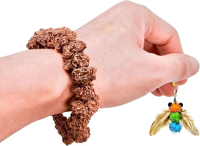 Natural Silvervine Gall Fruit Cat-Attracting Bracelet,Interactive Cat Toy for Relaxing and Teething, Catnip Alternative (Small Gall Fruit)-Mewly Pet