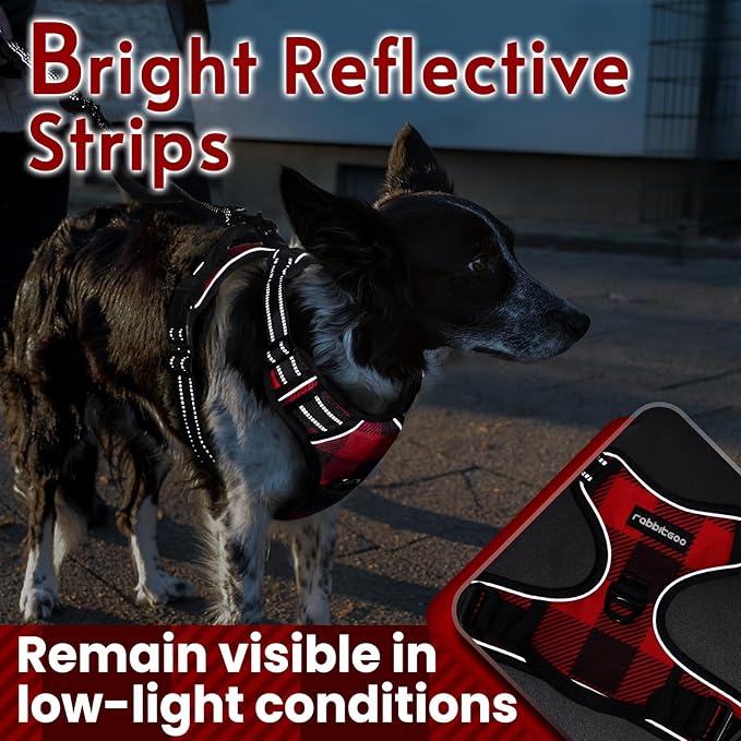 rabbitgoo Dog Harness No Pull with 2 Leash Clips, Adjustable Soft Padded, Reflective Oxford No Choke Pet Vest with Easy Control Handle for Large Dogs, Red Plaid, L-Mewly Pet