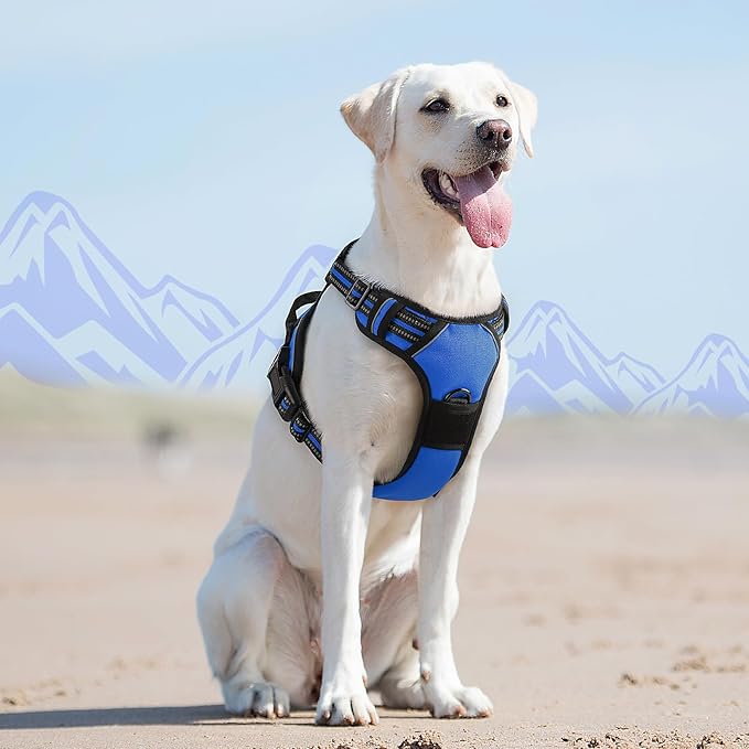 Eagloo Dog Harness for Large Dogs, No Pull Service Vest with Reflective Strips and Control Handle, Adjustable and Comfortable for Easy Walking, No Choke Pet Harness with 2 Metal Rings, Blue, L-Mewly Pet