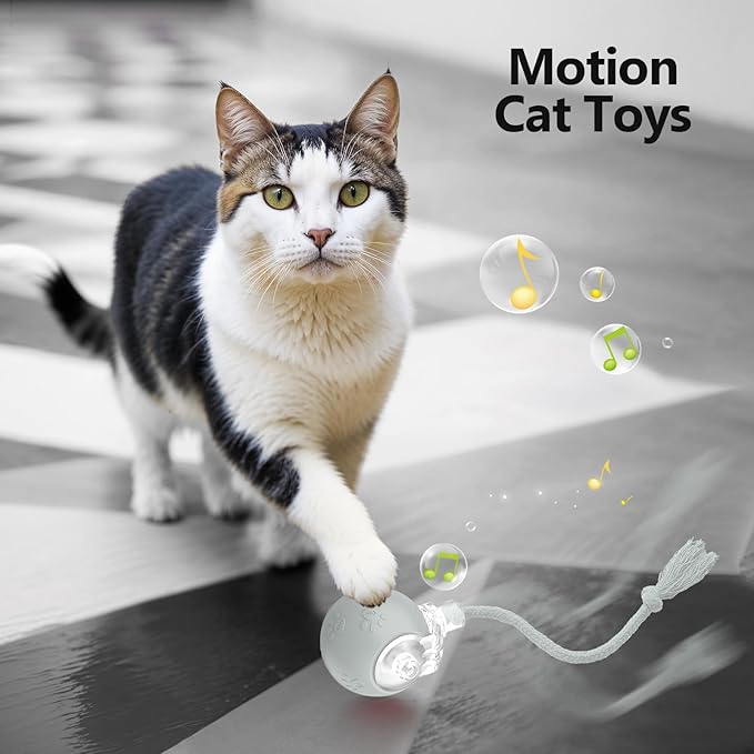 Interactive Cat Toys, Automatic Moving Cat Toy for Bored Indoor Adult Cats, Fast Rolling, Chirping & Motion-Activated Cat Toys, Fun Gift for Cats with Speedy Tail 2.0, USB Rechargeable(Gray)-Mewly Pet