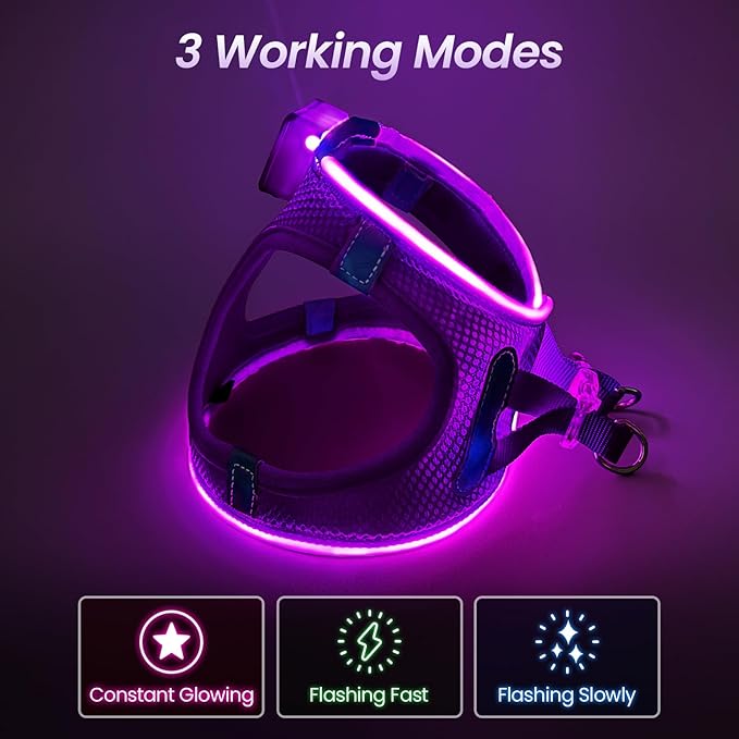 PceoTllar Light Up Dog Harness, LED No Pull Reflective Dog Harness, Flashing Lighted for Night Walking - Small/Medium, (Purple,XS)-Mewly Pet
