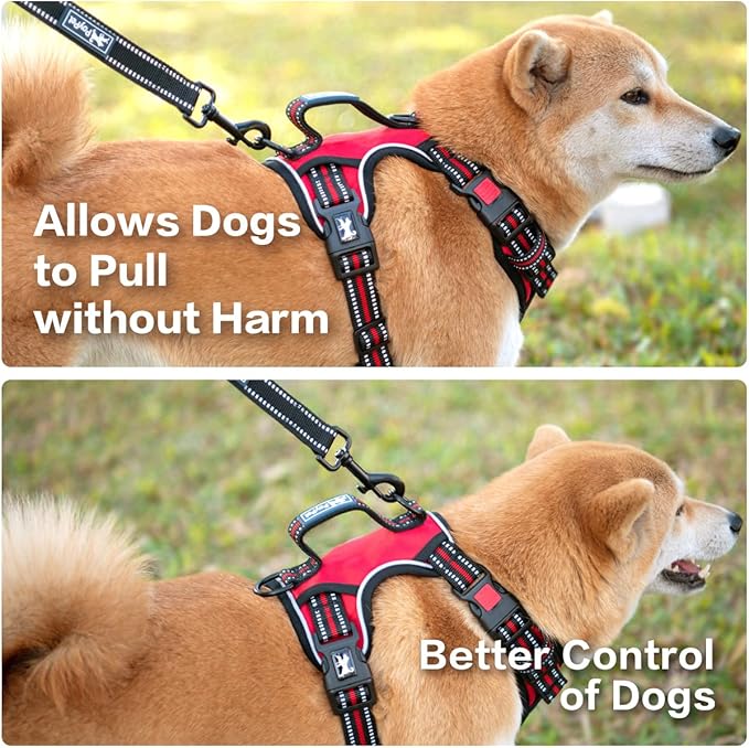 PoyPet No Pull Dog Harness, No Choke Front Clip Reflective Dog Vest with Soft Padded Vertical Handle, 3 Leash Attachments for Small Medium Large Dogs (Red,L)-Mewly Pet