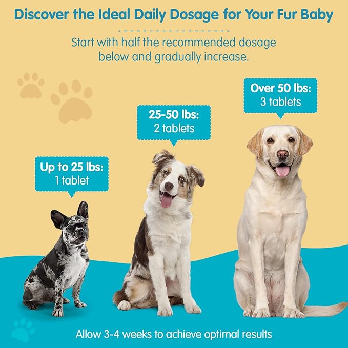 Wanderfound Pets Milk Thistle for Dogs – Tasty Salmon & Bacon Flavored Natural Liver Support for Pets – Kidney Cleanse Detox & Repair Formula Manufactured in The USA – 100 Chewable Tablets-Mewly Pet