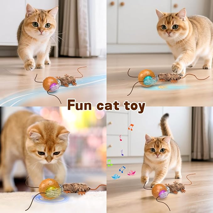 Interactive Cat Toy Ball - Automatic Interactive Cat Toy Designed by Mice, A Mobile Cat Ball, Boring Indoor Cat Toys-Mewly Pet