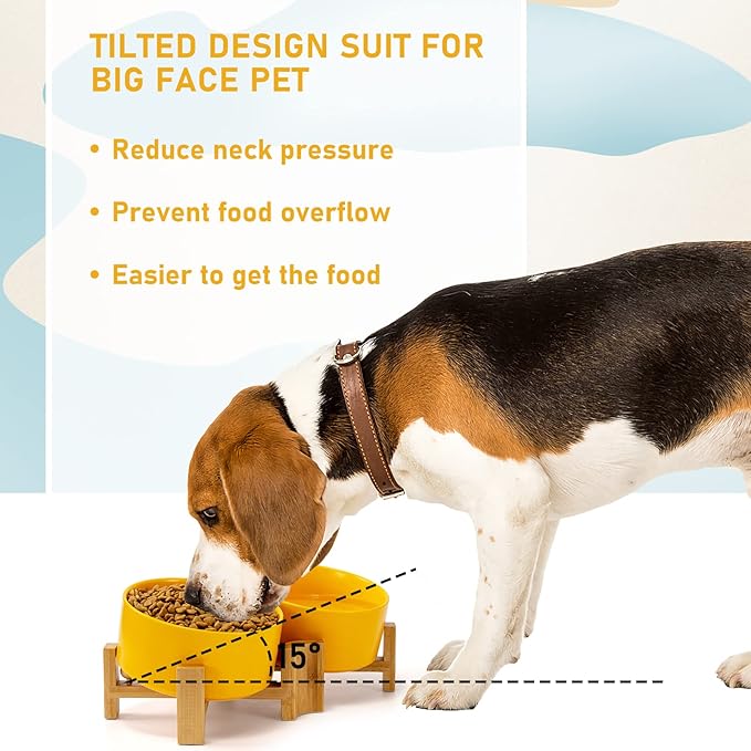 SPUNKYJUNKY 15° Slanted Ceramic Dog and Cat Bowl with Wooden Stand, Tilted Bulldog Food and Water Bowl No Slip Non-Spill for Cats Medium Dogs Big Face Pets 28.7 OZ (3.6 Cups, Yellow × 2)-Mewly Pet