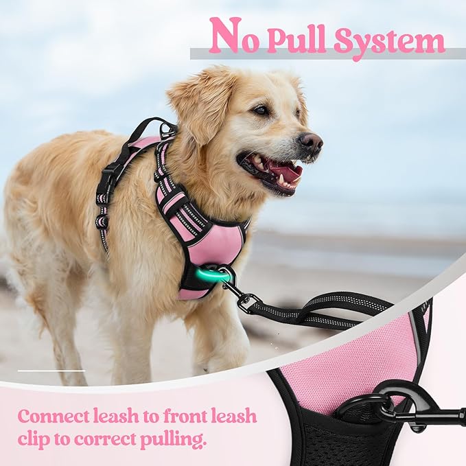 rabbitgoo Dog Harness No Pull with 2 Leash Clips, Adjustable Soft Padded, Reflective Oxford No Choke Pet Vest with Easy Control Handle for Medium Sized Dogs, Pink, M-Mewly Pet