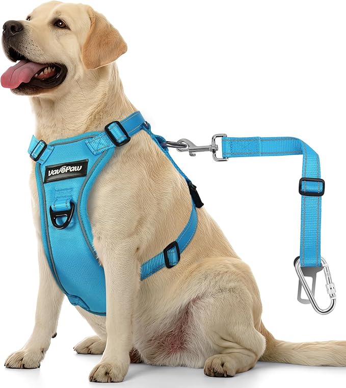 Dog Seat Belt Harness for Car, Dog Car Harness Adjustable Mesh Breathable & Dogs Seatbelt Safety Tether with Elastic Bungee for Small Medium Large Pets(Blue, XL)-Mewly Pet