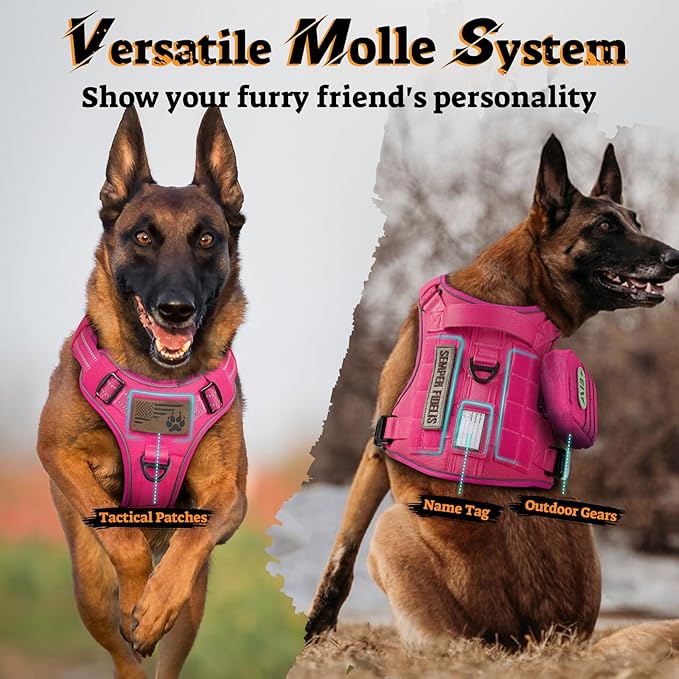 rabbitgoo Dog Harness for Large Dogs No Pull, Tactical Service Pet Vest with Molle and Control Handle, Adjustable and Reflective Military Harness for Easy Walking and Training, Rose Red, L-Mewly Pet