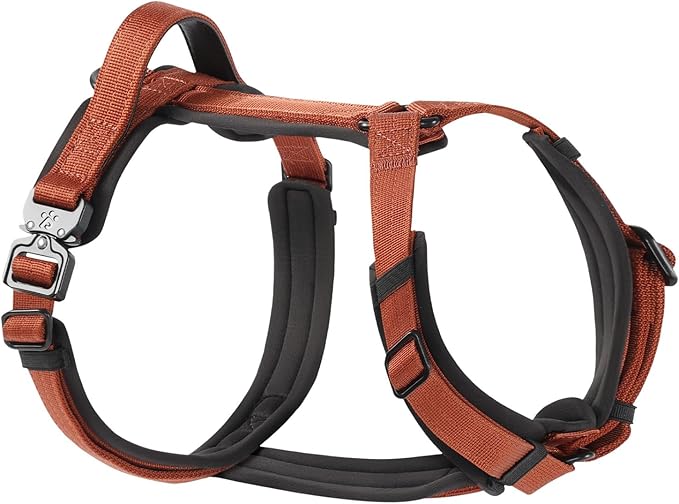 CLEPAWS Dog Harness for Small Dogs, No Pull Dog Harness Easy Walk with Metal Hardware, Ergonomic Y-Shaped Design, Soft Padding, Padded Handle, Durable High-Tensile Nylon (Canyon Red, S)-Mewly Pet