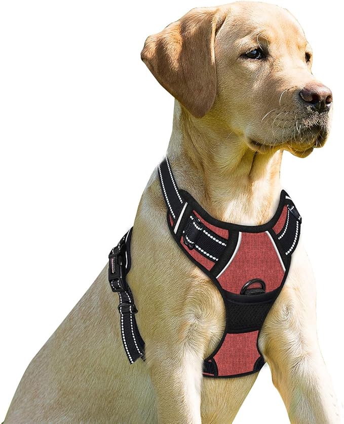 BARKBAY No Pull Dog Harness Front Clip Heavy Duty Reflective Easy Control Handle for Large Dog Walking(Rio Red,M)-Mewly Pet