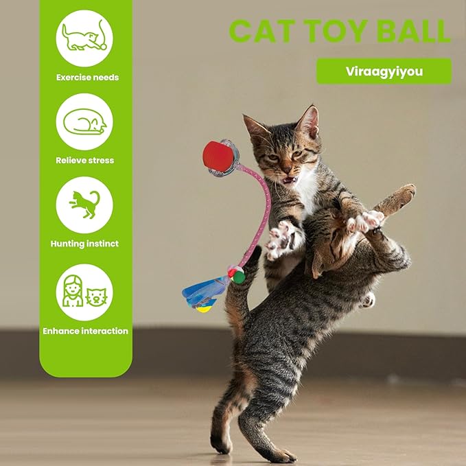 Cat Toy, Interactive Cat Toy, Cat Toys for Indoor Cats with 2 Tails, 3 Modes Rechargeable Cat Enrichment Toys for Small/Medium/Large Cats to Keep Them Busy-Mewly Pet