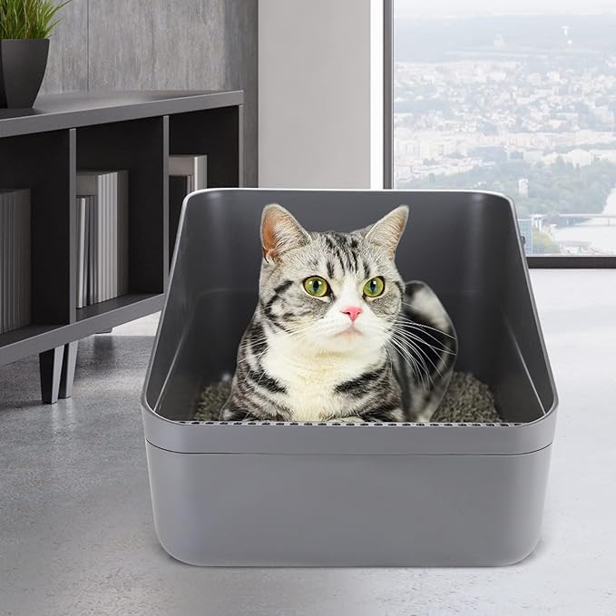 Sfozstra Cats Litter Box Low: Open Sifting Design -Tracking Space Saving - Grey Small Litter Box for Kittens up to 8 lbs-Mewly Pet