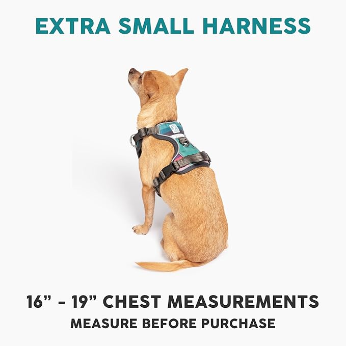 Embark Adventure Dog Harness, No-Pull Reflective Trim Dog Harness for Small, Medium & Large Dogs - Heavy Duty Oxford, 2 Leash Clips & Gel Lined Handle. Soft & Padded Puppy Dog Vest for Any Breed-Mewly Pet