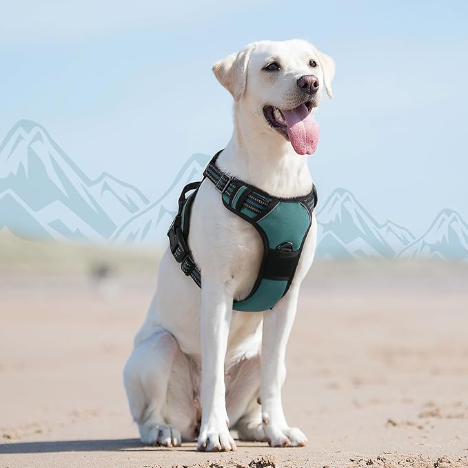 Eagloo Dog Harness for Large Dogs, No Pull Service Vest with Reflective Strips and Control Handle, Adjustable and Comfortable for Easy Walking, No Choke Pet Harness with 2 Metal Rings, Dark Green, L-Mewly Pet
