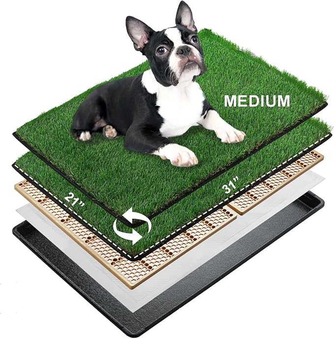 MEEXPAWS Dog Grass Pee Pads for Dogs with Tray | Medium 31×21 in | 2× Dog Artificial Grass Pads Replacement| Rapid Drainage | Indoor Litter Box | Hemmed Edge-Mewly Pet