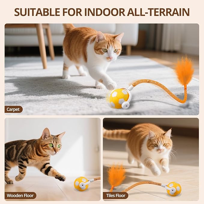 Cat Toy Ball,Interactive Cat Toy Ball with 3 Modes for Indoor Cat,The 2025 Generation Self Moving Cats Toy,Rolling Cats Toy with Feather & Bells for Bored Cats & Small dogs,Touch to Activate (Orange)-Mewly Pet
