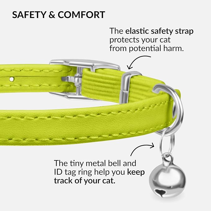 CollarDirect Leather Cat Collar with Bell - Kitten Collar, Small and Big Cat Collar for Boy Cats, Girl Cats with Safety Elastic Strap (Neck Fit 8"-11", Lime Green)-Mewly Pet