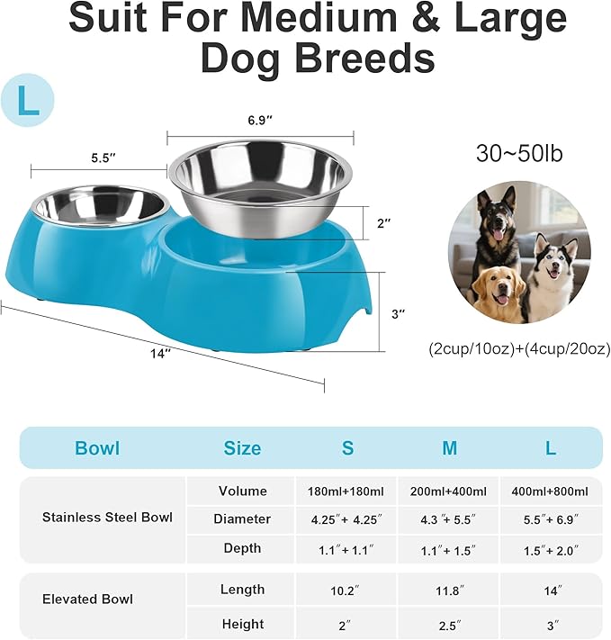 Elevated Dog Bowls Set - Non-Slip Raised Pet Feeder with Medium (2 Cups) & Large (4 Cups) Stainless Steel Bowls - Includes Durable Resin Stand for Puppies, Adult Dogs & Cats - Blue-Mewly Pet