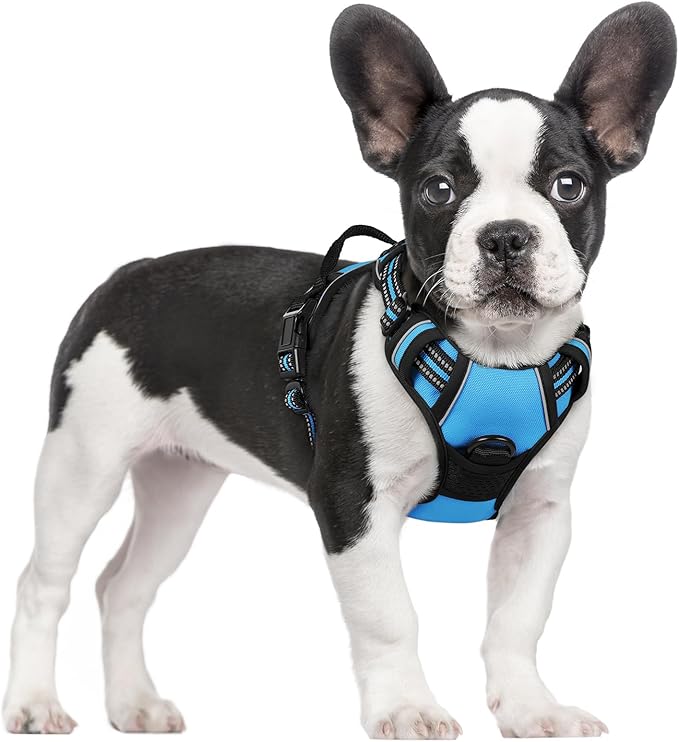 rabbitgoo Dog Harness No Pull with 2 Leash Clips, Adjustable Soft Padded, Reflective Oxford No Choke Pet Vest with Easy Control Handle for Small Dogs, Blue, S-Mewly Pet