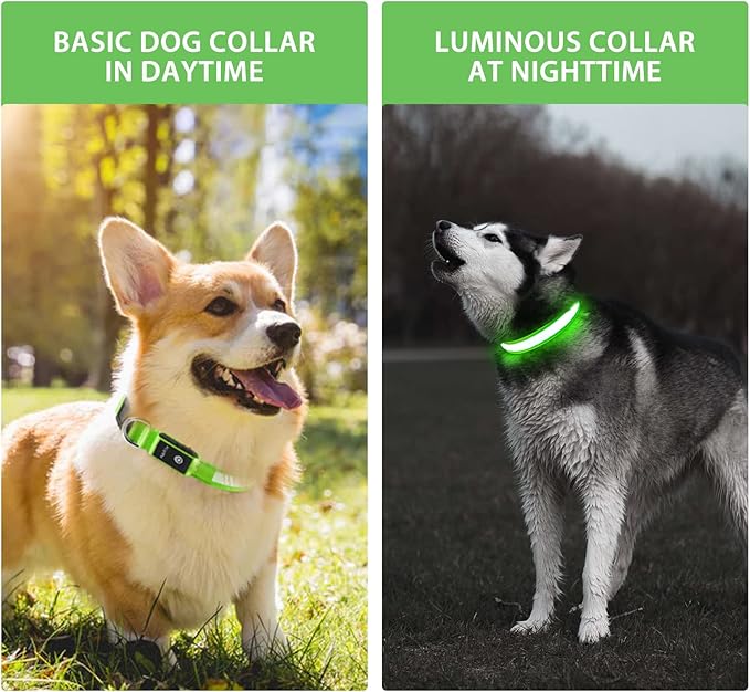 PcEoTllar Light up Dog Collar for Night Walking - LED Dog Collar Light Rechargeable Color Changing, Glow in The Dark Dog Collars Waterproof Glowing Dog Collars for Large Small Medium Dogs-Mewly Pet