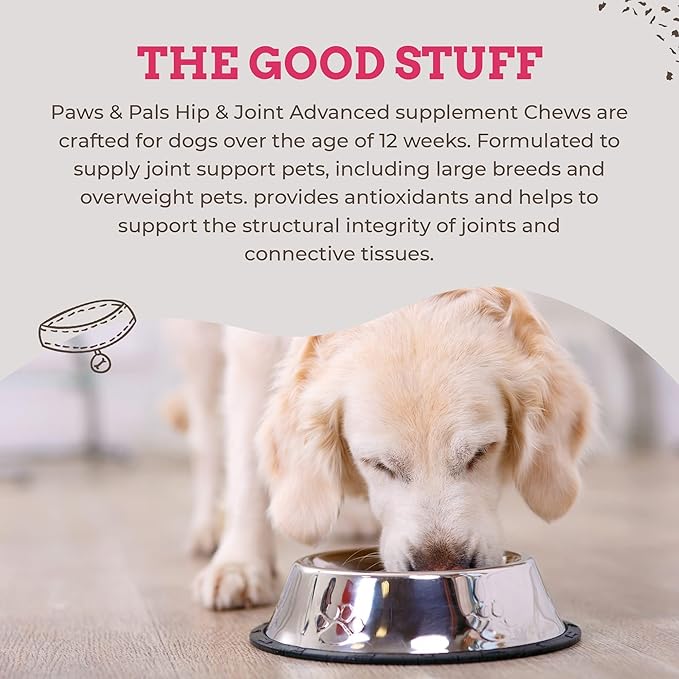 Paws & Pals Glucosamine Chondroitin MSM for dogs 240 Count, Hip and Joint Mobility Soft Chews Supplement, Pain & Inflammation Relief for all breeds - Maximum Strength, Treats Hip Dysplasia & Arthritis-Mewly Pet