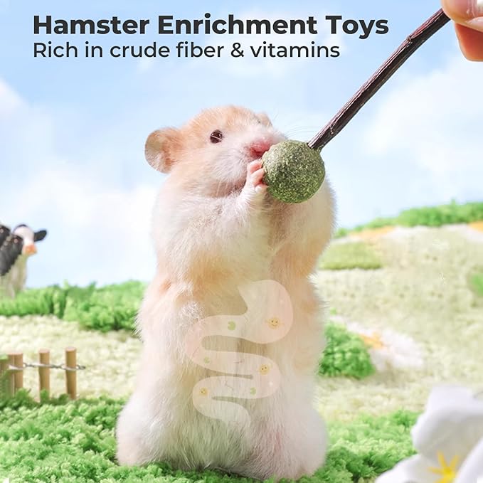 mini&moe Hamster Chew Toys for Teeth – Guinea Pig Chew & Treats Natural Edible Apple Wood Sticks Improve Dental Health Hamster Enrichment Toys for Rabbit, Bunny, Chinchilla, Gerbils, Rat-Mewly Pet