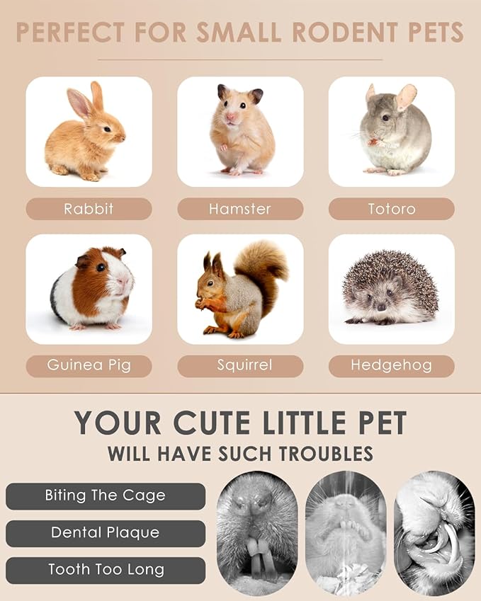 Bissap 72 PCS Rabbit Chew Sticks, Natural Timothy Hay Pumpkin Sugar Beet Carrot Strawberry Rose Dahlberg Daisy Forget-me-not Flower Treat for Bunny Chinchilla Guinea Pig Hamster Small Pet Molar Snack-Mewly Pet