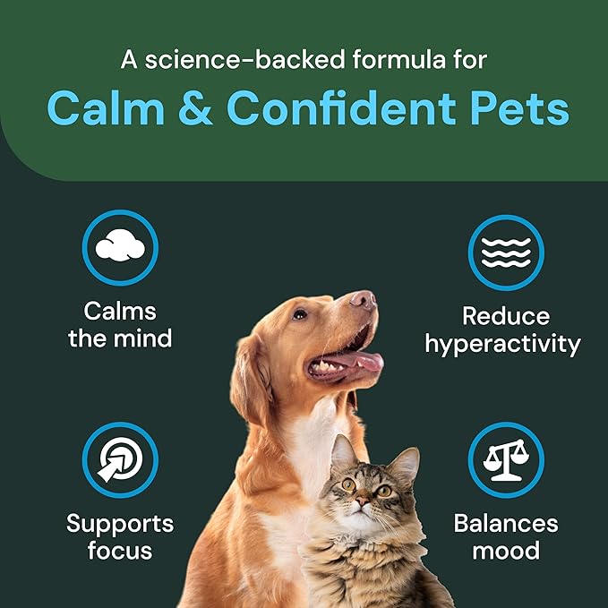 VETRISCIENCE Veterinary Strength Calm & Confident Chews - Stress Supplement for Pets - Supports Brain Function for Cats & Dogs - with L-Theanine, Thiamine & More - 60 Count-Mewly Pet