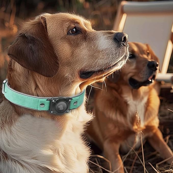 AirTag Dog Collar - Leather Dog Collar with Air Tag Holder | IPX8 Waterproof, Reflective, High - End, Adjustable Soft Padded | Dog GPS Tracker Collars Fit for Medium Large Dogs (Teal, M)-Mewly Pet